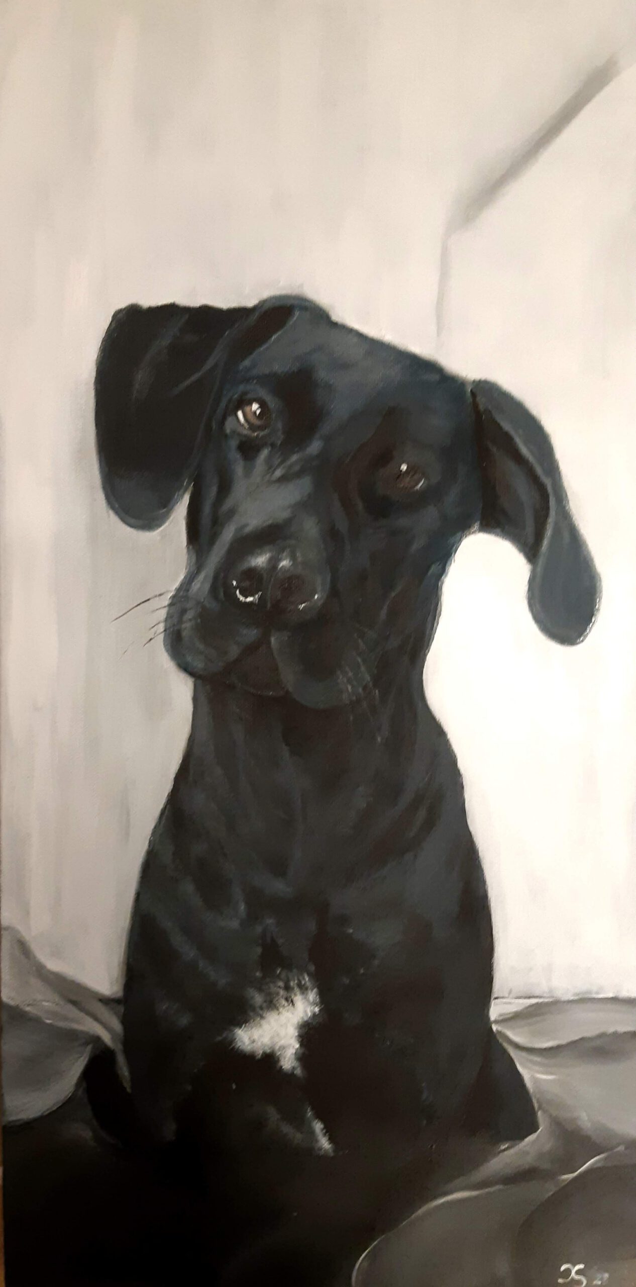 Hund