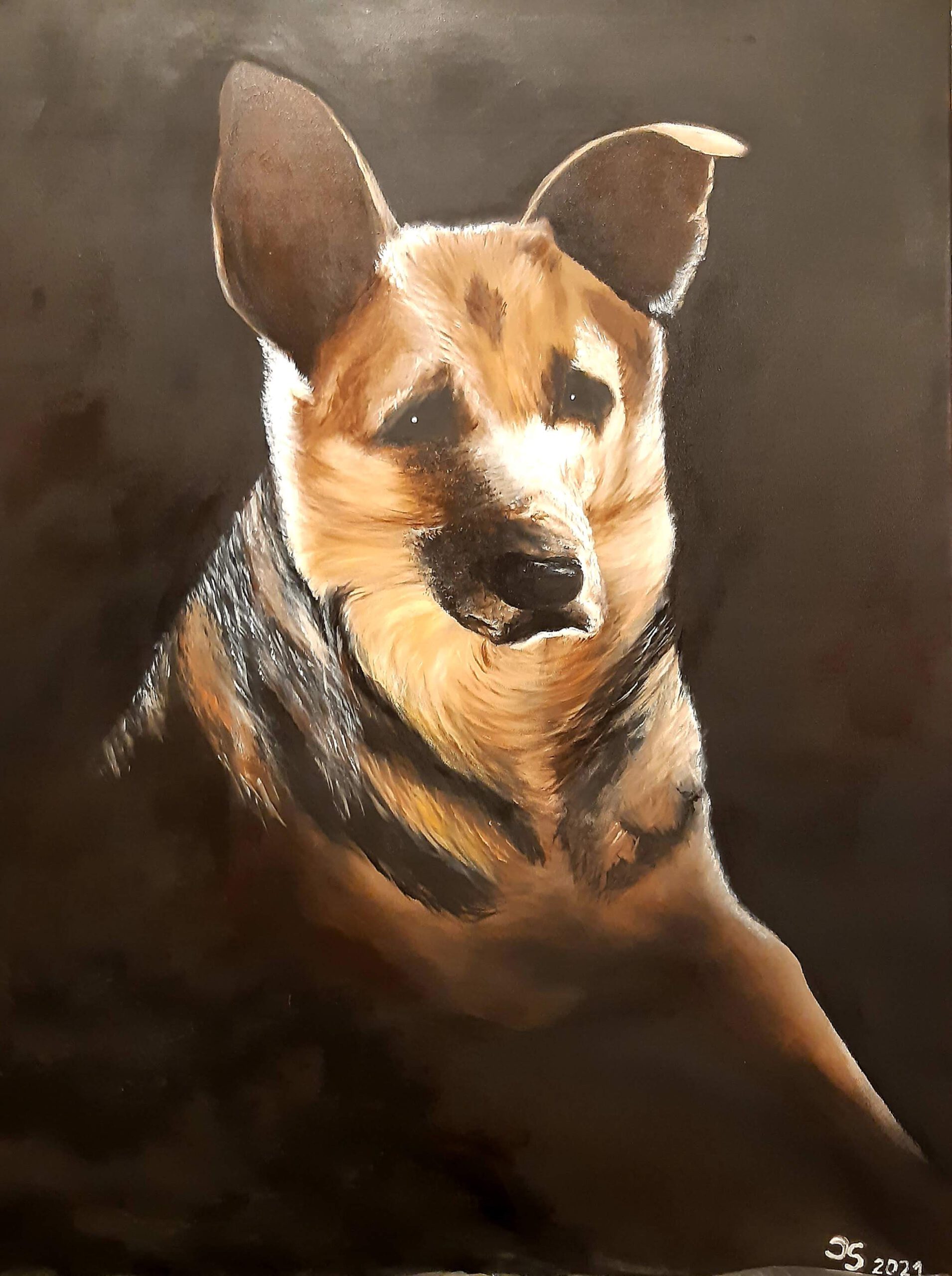 Hund
