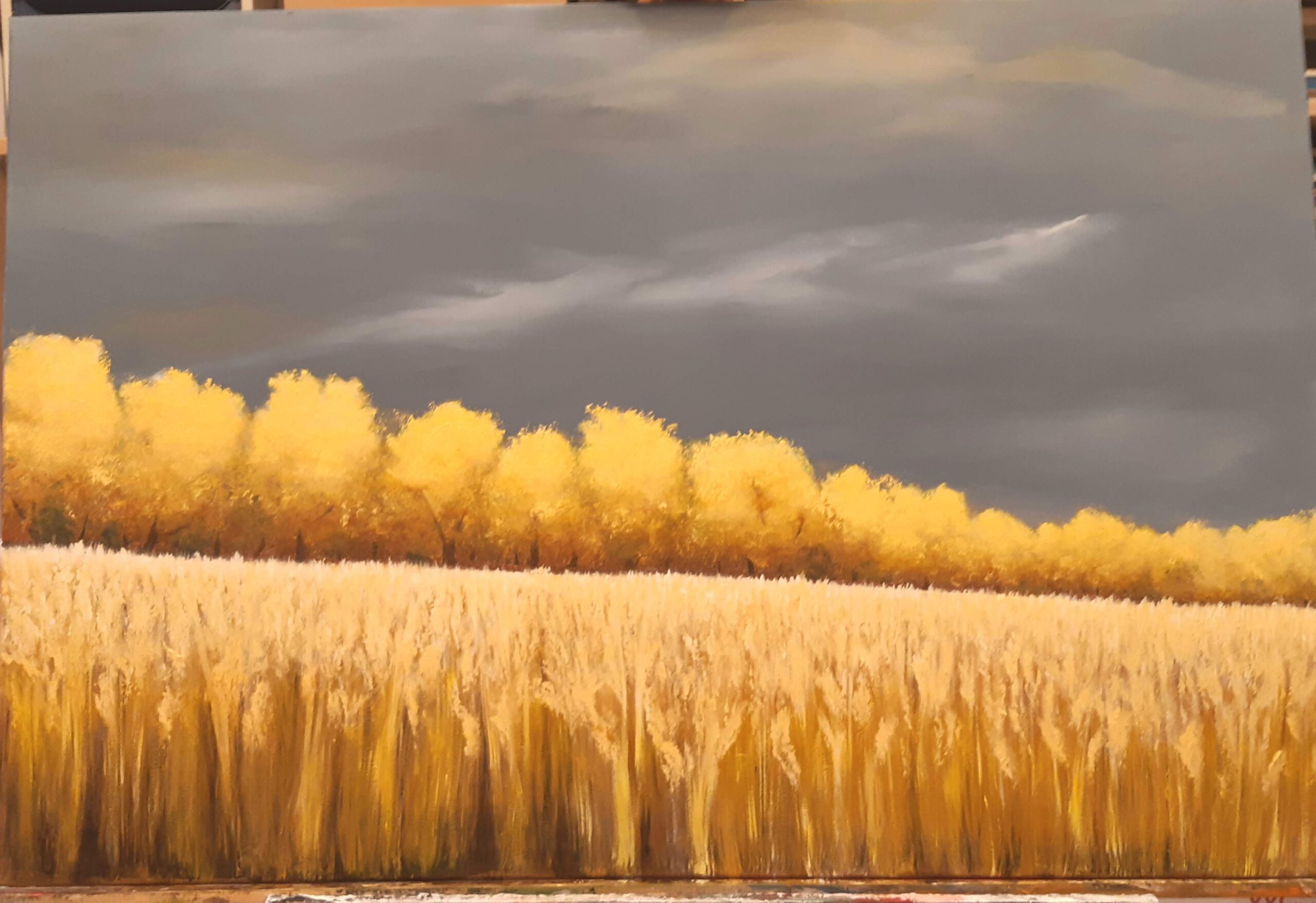 Das Feld