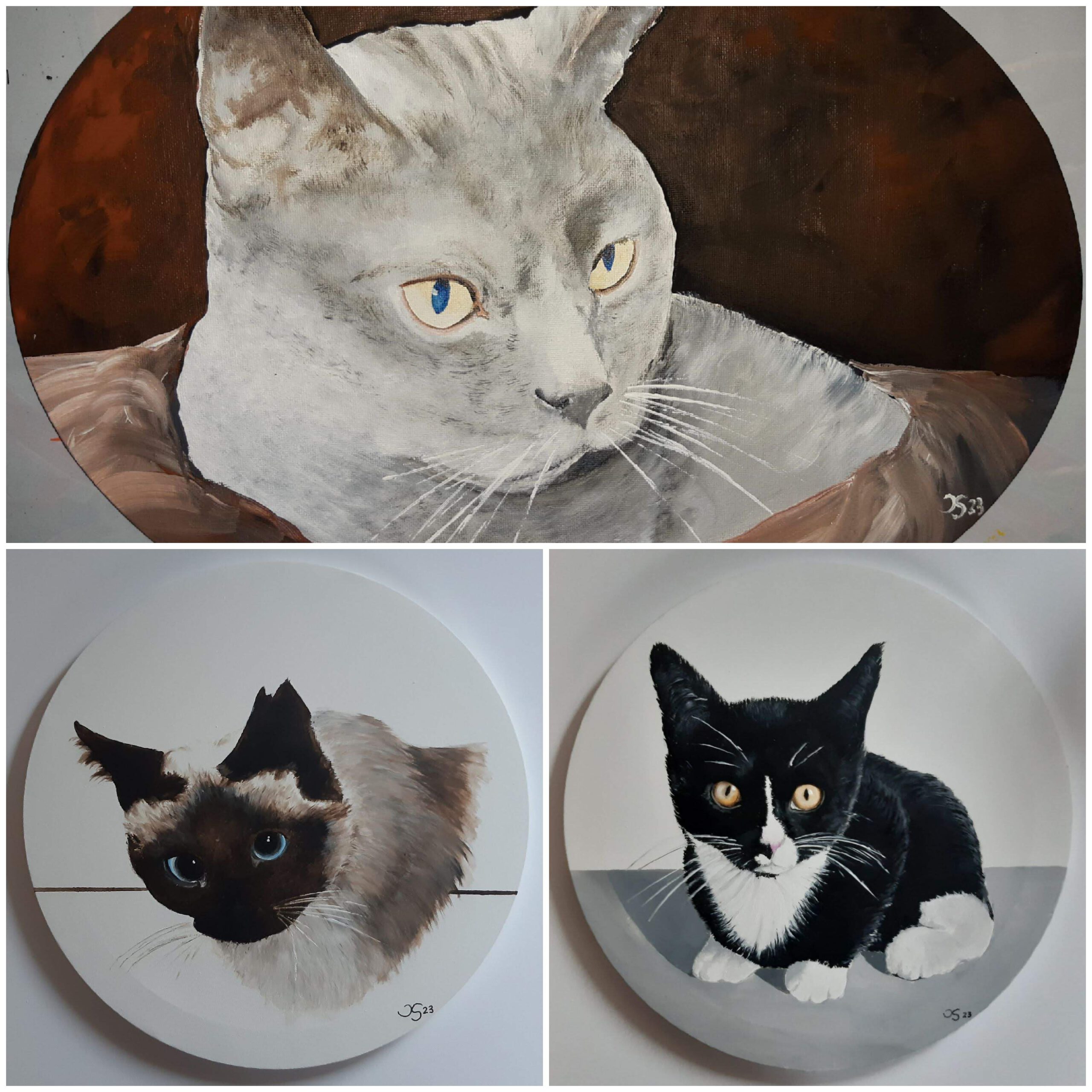 Katzen