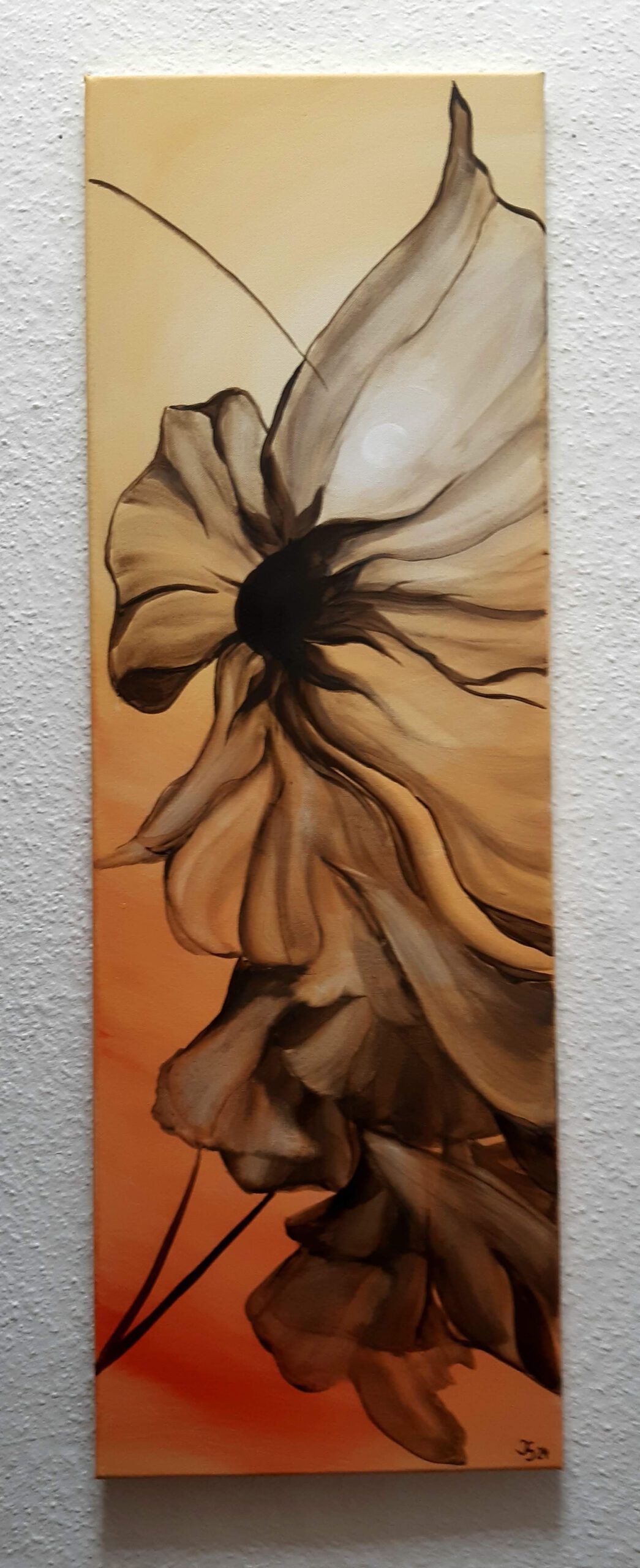 Blume im abendlichen Wind