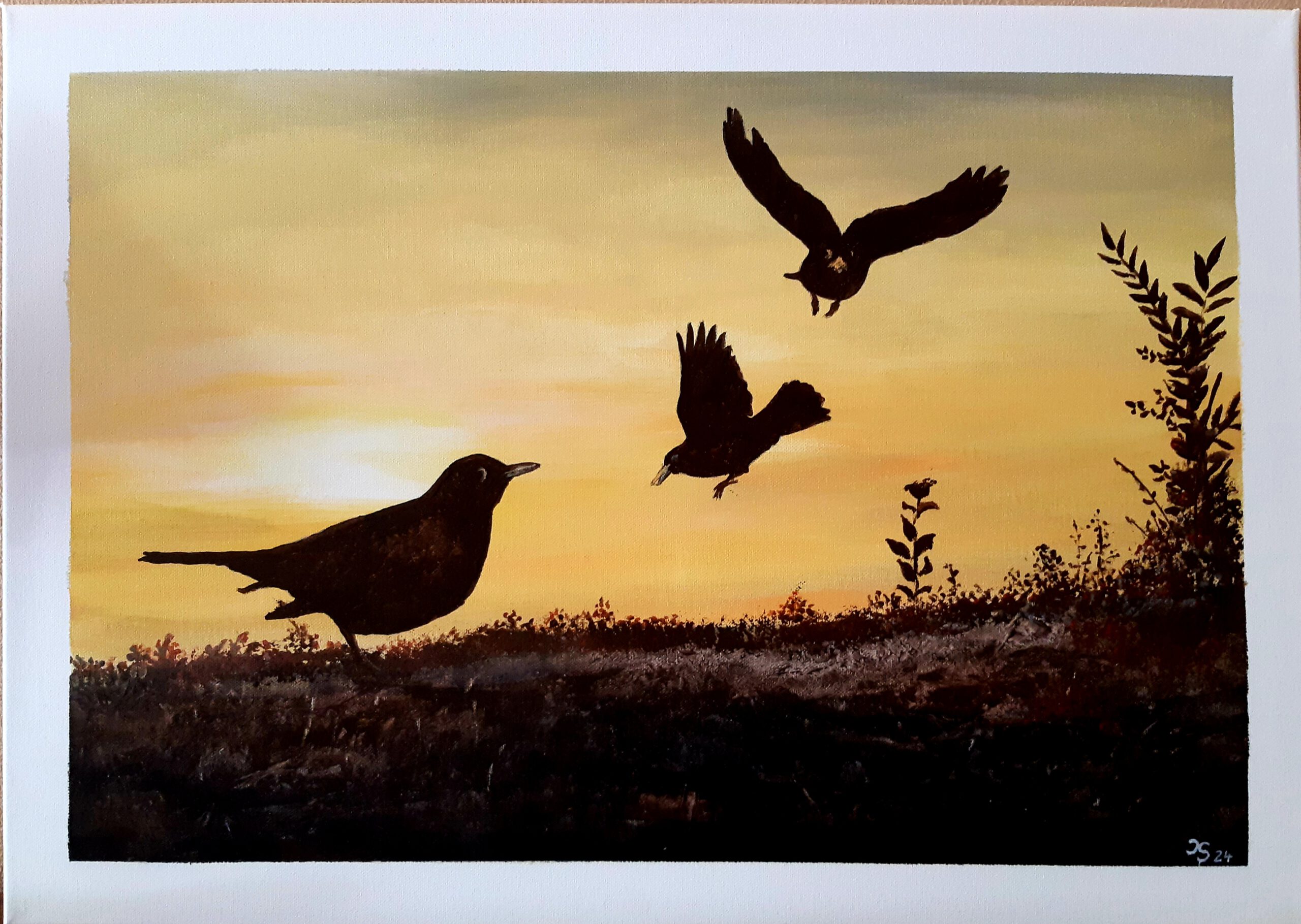 Abendlicher Flug